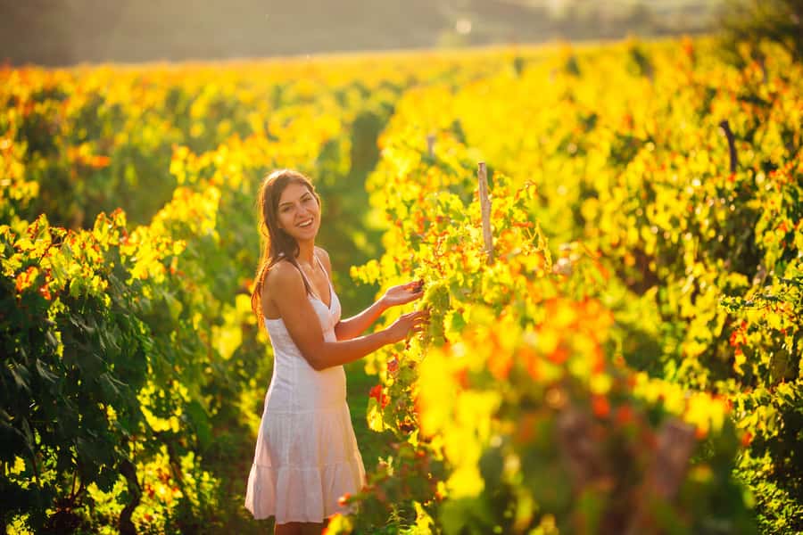 Experience Yarra Valley: A Tailored private Wine Journey - The wine tasting experience: 60-minute slots and what to do with them