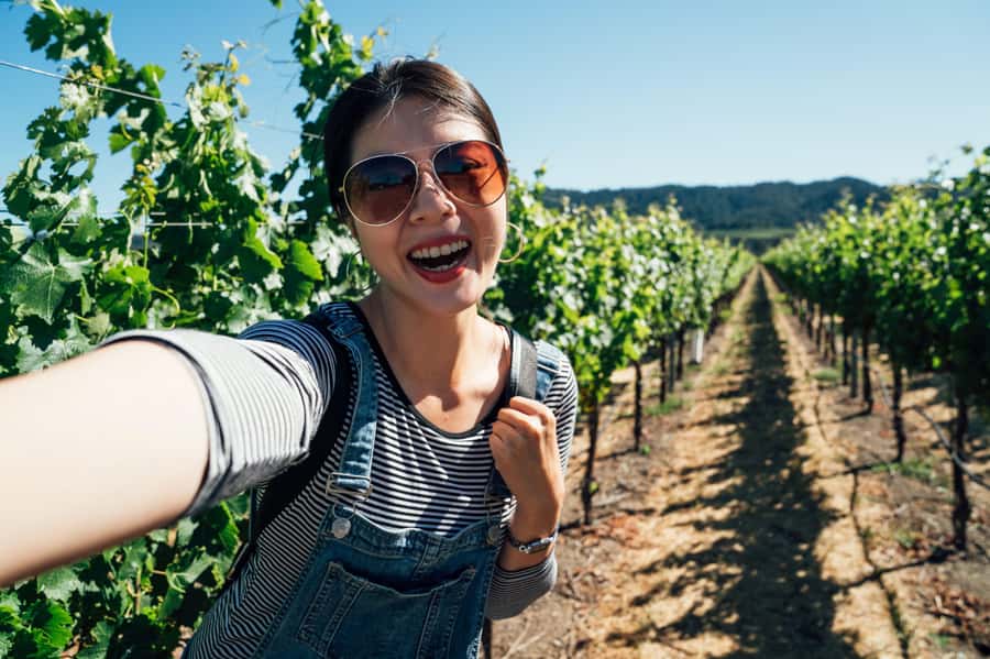Experience Yarra Valley: A Tailored private Wine Journey - Price and value: what $707 for a private group actually buys you