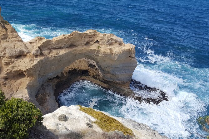 Express Twelve Apostles Day Trip from Melbourne - Price and Day-Trip Value: Is $396.64 a Good Use of Your Time?