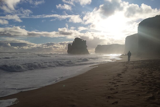 Express Twelve Apostles Day Trip from Melbourne - Twelve Apostles Viewing Platforms: 1 Hour to Get Your Bearings and Photos