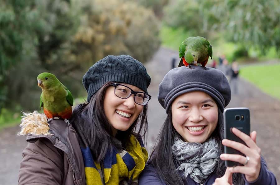 From Melbourne: 3-Day Great Ocean Road Grampians Tour - The guide factor: why this trip feels smoother with the right person