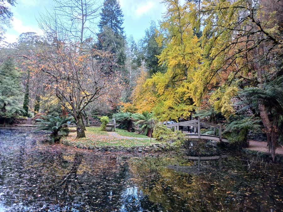 From Melbourne: Dandenong Ranges Private Day Tour - Should you book this Dandenong Ranges private day tour?