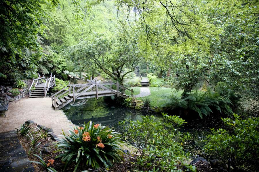 From Melbourne: Dandenong Ranges Private Day Tour - Lunch near the ranges: cosy, pay-as-you-go (and diet-friendly)