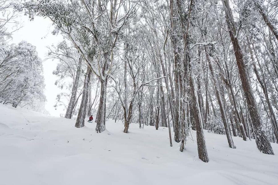 From Melbourne: Day Tour to Mt Buller with Snow Clothes - Gear included: snow jacket, pants, and boots that change the math