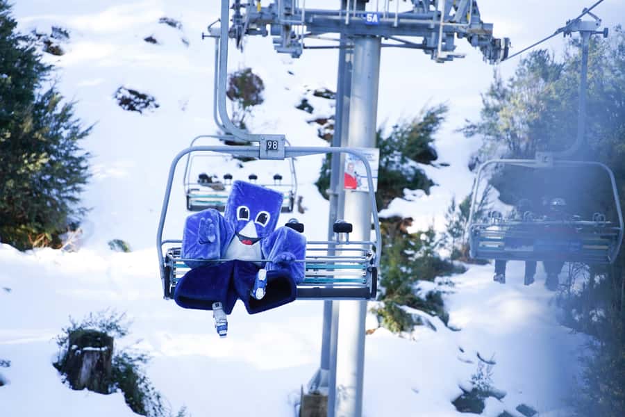 From Melbourne: Day Trip to Mt Buller by Premium Tour Coach - The premium coach part: what makes this feel worth it