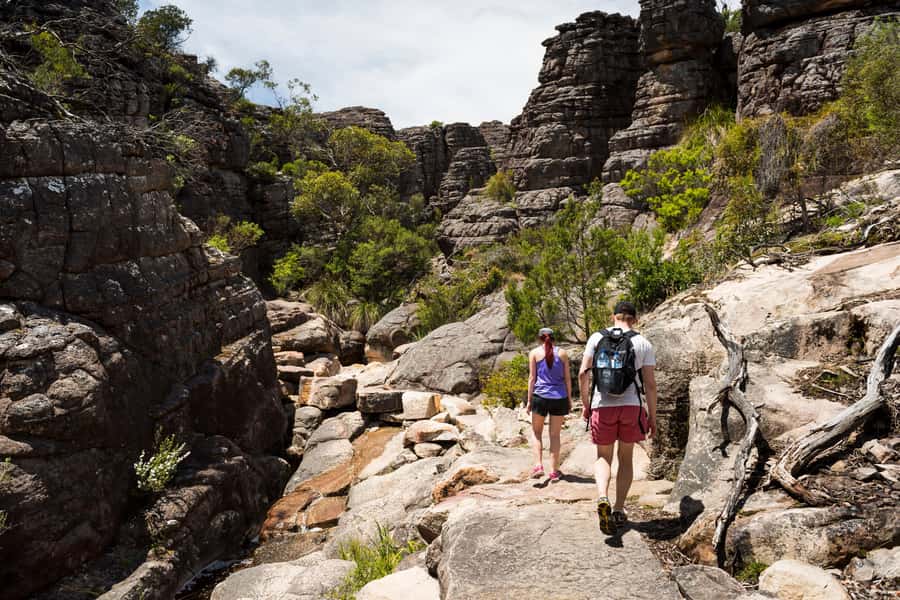 From Melbourne Grampians National Park Kangaroos Guided Tour - Halls Gap break: where lunch is on you