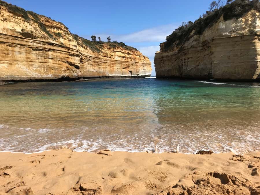 From Melbourne: Great Ocean Road Boutique Tour in Reverse - Great Otway National Park and Maits Rest rainforest walk