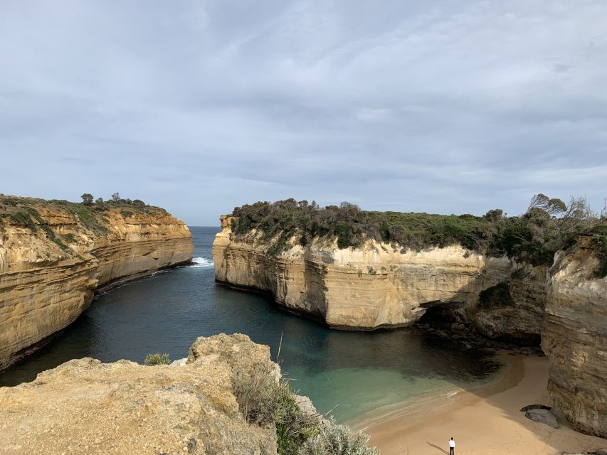From Melbourne: Great Ocean Road Day Tour - Medium-Group Comfort and the Guide’s Impact on the Whole Day