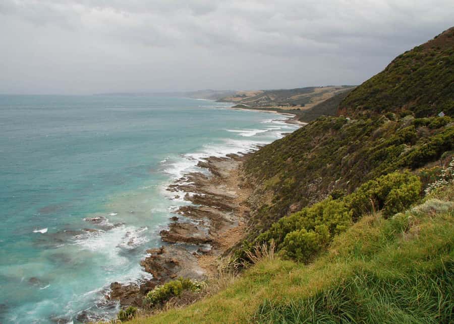 From Melbourne: Great Ocean Road Day Tour - Value Check: Is $113 Good for This Great Ocean Road Day?
