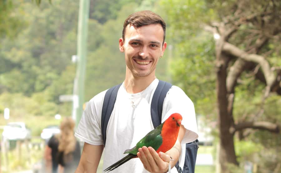 From Melbourne: Great Ocean Road Full-Day Guided Trip - Great Ocean Road in One Day: What You Actually Get for $98