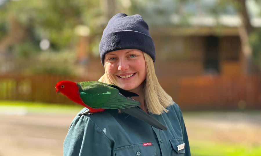 From Melbourne: Great Ocean Road Full-Day Sunset Tour - The real cost and what’s worth bringing