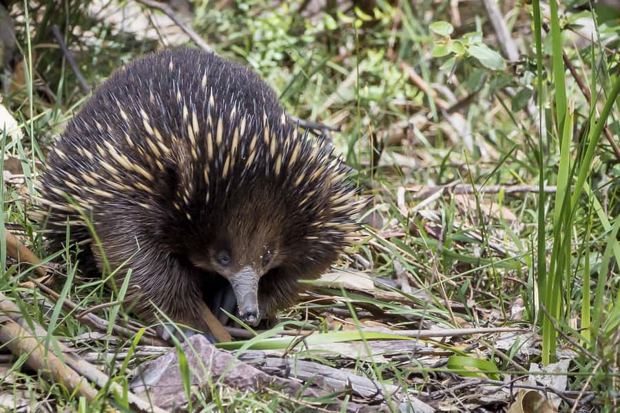 From Melbourne: Great Ocean Road Sunset Tour - Apollo Bay break: your reset button on a long day