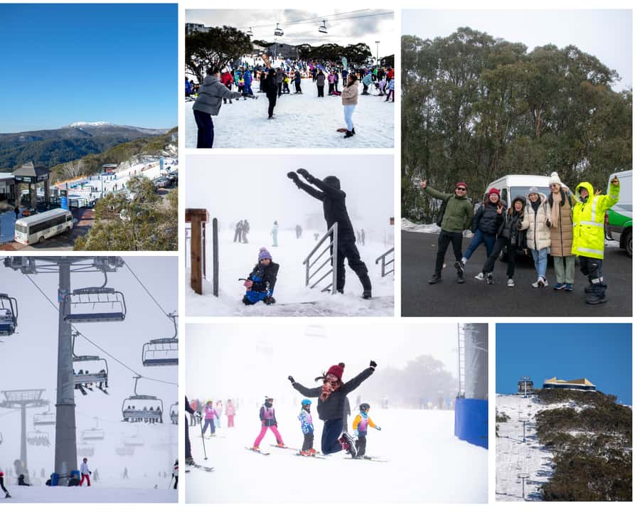 From Melbourne: Mount Buller Guided Day Tour - The Resort Village Time: Use It Like a Local
