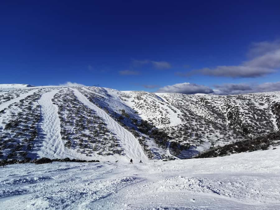 From Melbourne: Mount Buller Guided Day Tour - Pricing and Value: What $96 Buys (and What It Doesn’t)