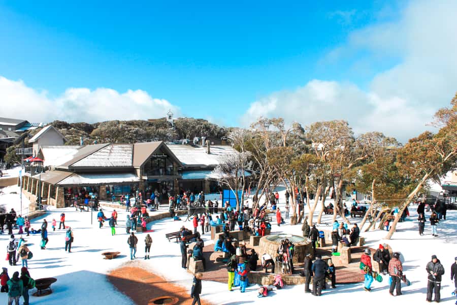 From Melbourne: Mount Buller Guided Day Tour - Arriving at Mount Buller Around 10:00 and Getting Oriented