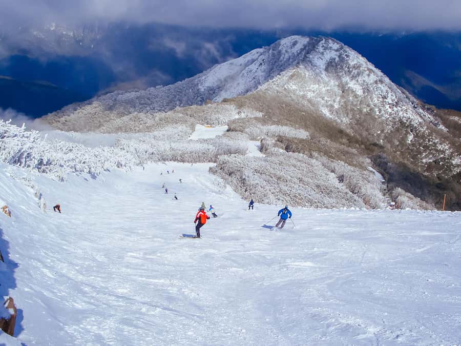 From Melbourne: Mt Buller Scenic Snow Getaway Day Tour - Key things to know before you go