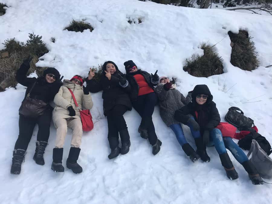 From Melbourne: Mt Buller Snow Day Small Group Boutique Tour - Key highlights worth paying attention to