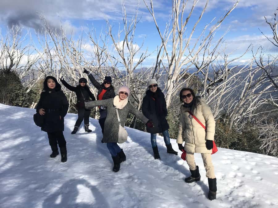 From Melbourne: Mt Buller Snow Day Small Group Boutique Tour - A 6am meet-up and a smooth ride into the snow