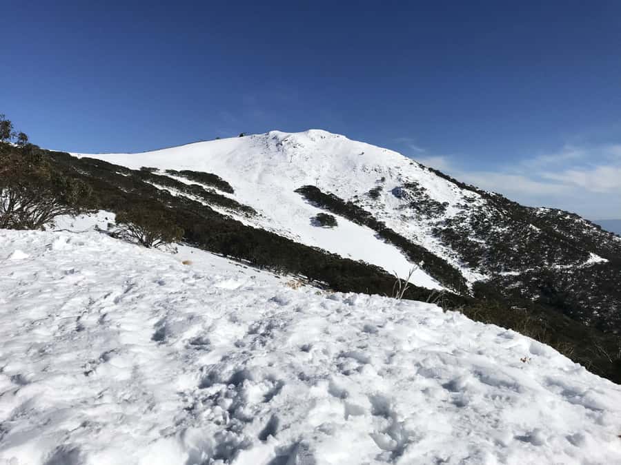 From Melbourne: Mt Buller Snow Day Small Group Boutique Tour - Village Circuit Track: the guided snow-walk with standout moments