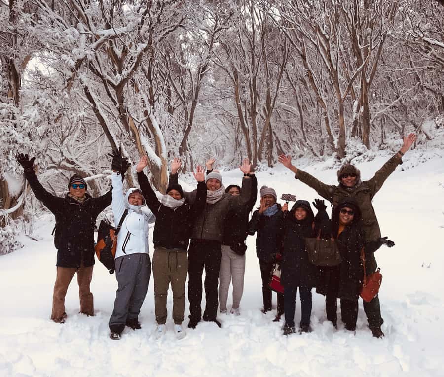 From Melbourne: Mt Buller Snow Day Small Group Boutique Tour - Price, value, and the extras you should budget for
