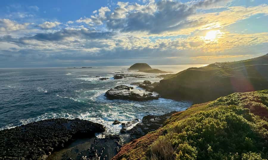 From Melbourne: Penguin Parade Afternoon Tour - Penguin Parade at sunset: what two hours of viewing is really like