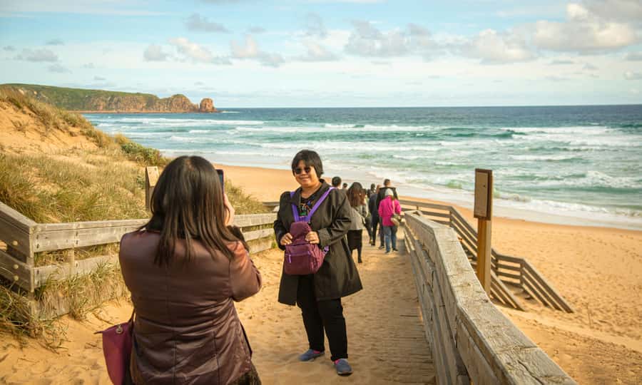 From Melbourne: Penguin Parade Afternoon Tour - Price and value: is $95 worth it versus driving yourself?