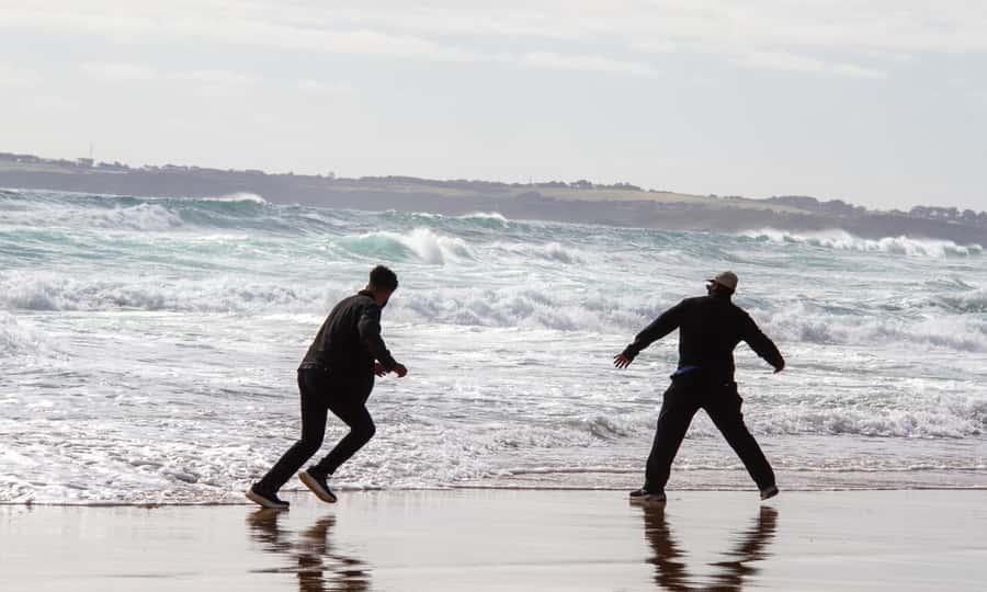 From Melbourne: Penguin Parade Afternoon Tour - Food, timing, and the long return to Melbourne