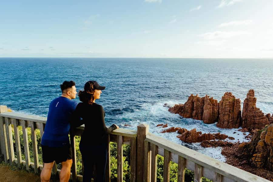 From Melbourne: Phillip Is Penguin Parade & Koala Reserve - Wallabies on the way: the fun bonus moments you can actually control