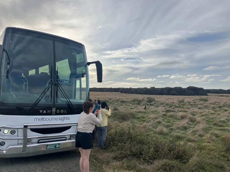 From Melbourne: Phillip Is Penguin Parade & Koala Reserve - The Penguin Parade at Phillip Island Nature Parks: what to expect, and how to enjoy it