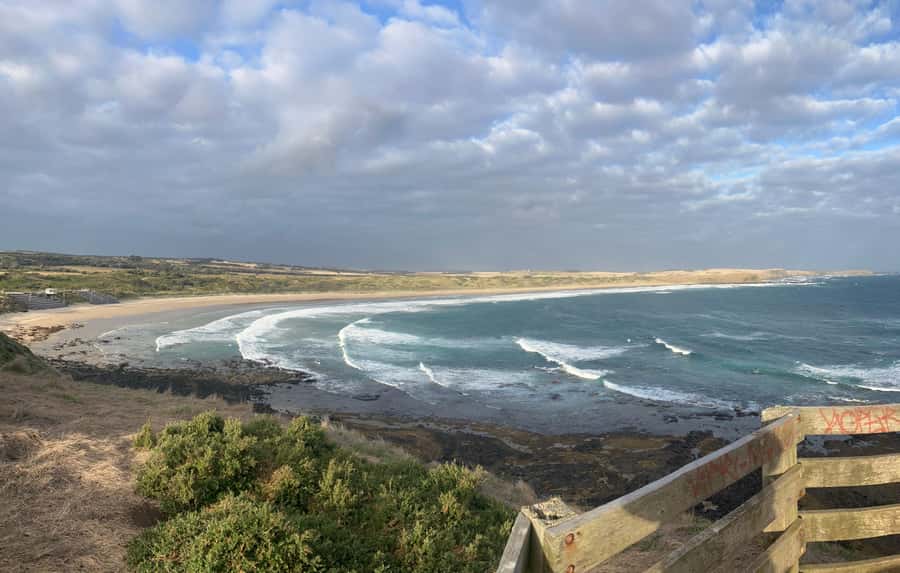 From Melbourne: Phillip Is Penguin Parade & Koala Reserve - Is it worth your time? The value of a multi-animal Phillip Island day