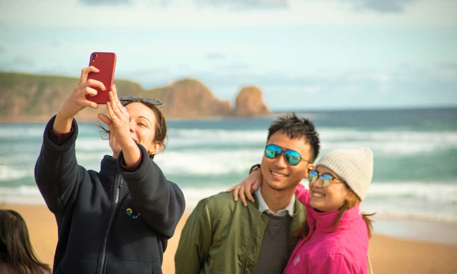 From Melbourne: Phillip Island Penguin Parade Eco Tour - The Nobbies: where the ocean does the talking