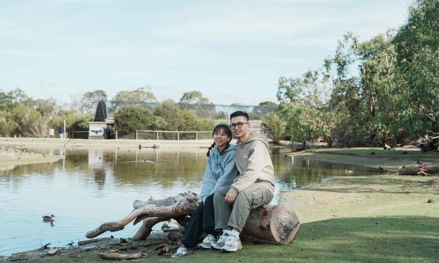 From Melbourne: Phillip Island Penguin Parade Eco Tour - What to pack (so you don’t regret it at sunset)