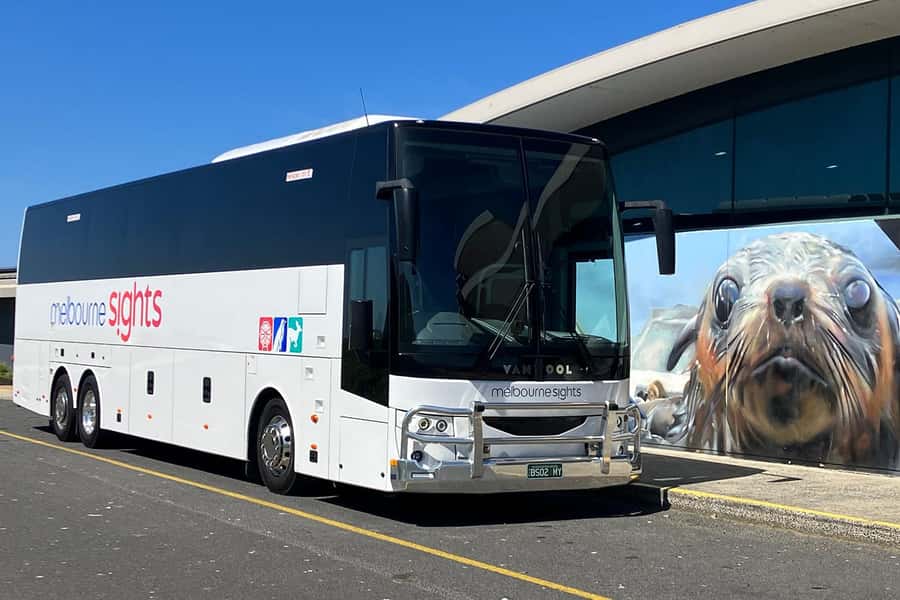 From Melbourne: Phillip Island Penguin Parade Express Tour - What the return to Melbourne is like (and when you’ll get home)