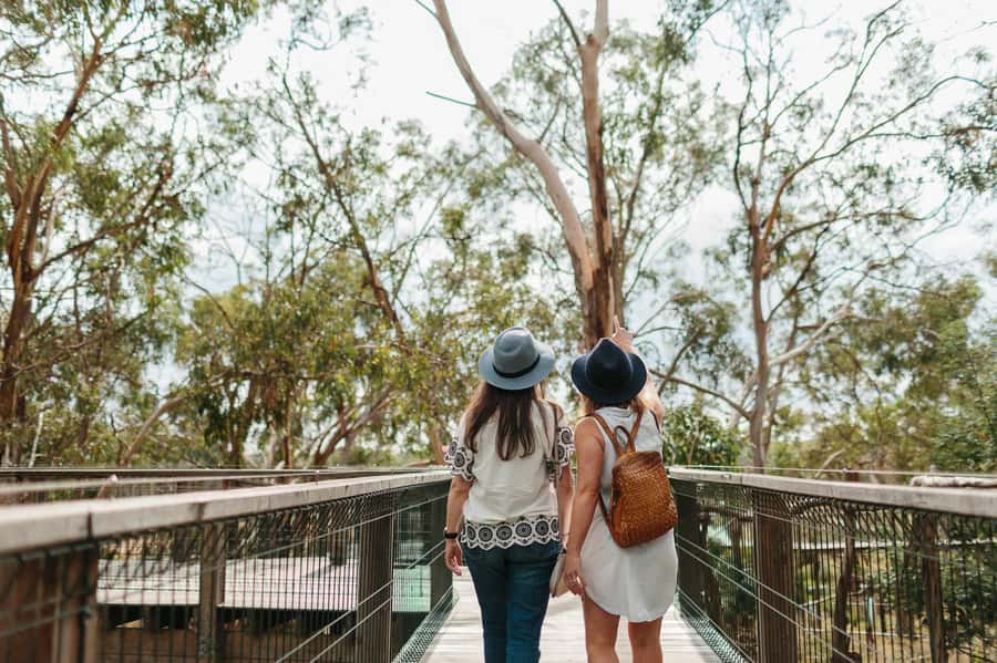 From Melbourne: Phillip Island Penguin Parade & Koalas Tour - Penguin Parade Centre at Summerland Beach: the sunset return is the payoff