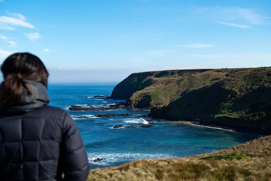 From Melbourne: Phillip Island Penguin Plus - Grandstand - Penguins Plus vs. general entry: where the extra money goes