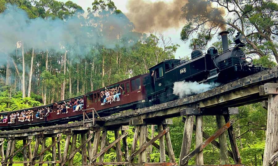 From Melbourne: Puffing Billy & Penguins Combo Tour Package - Why this Melbourne-to-Penguins day feels like two tours in one