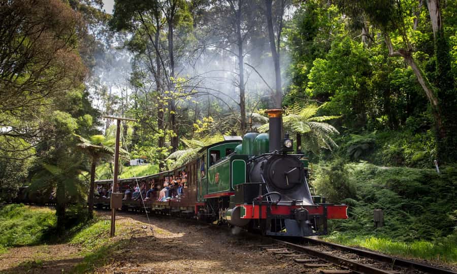 From Melbourne: Puffing Billy & Penguins Combo Tour Package - Group dynamics, guides, and the extras that make the day smoother