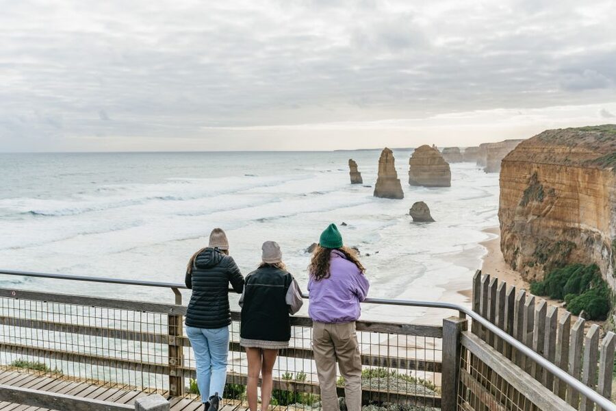From Melbourne: Small-Group Great Ocean Road Day Trip - The ancient rainforest walk: your breather before the cliffs