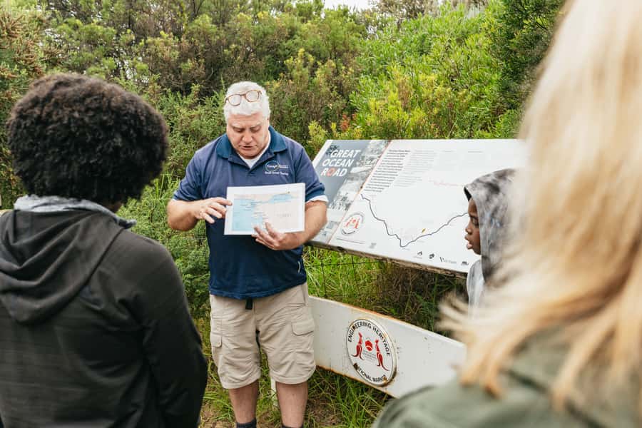 From Melbourne: Small-Group Great Ocean Road Day Trip - Chasing the 12 Apostles coastline views (and wildlife chances)