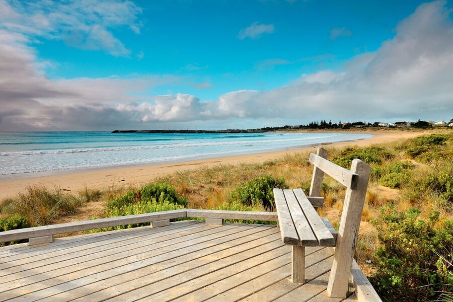 From Melbourne: Small Group Great Ocean Road Tour - Otway National Park rainforest walk: your mid-tour change of scenery