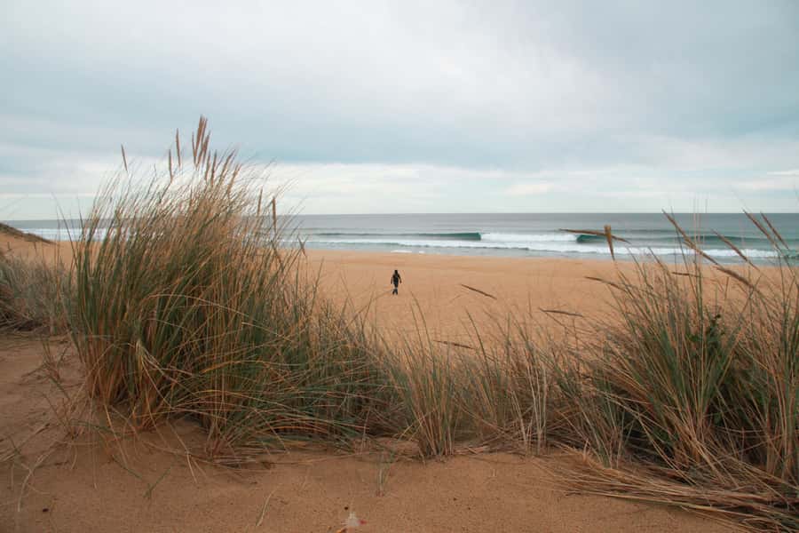 From Melbourne: Small Group Great Ocean Road Tour - Loch Ard Gorge: shipwreck stories that make the rocks mean something