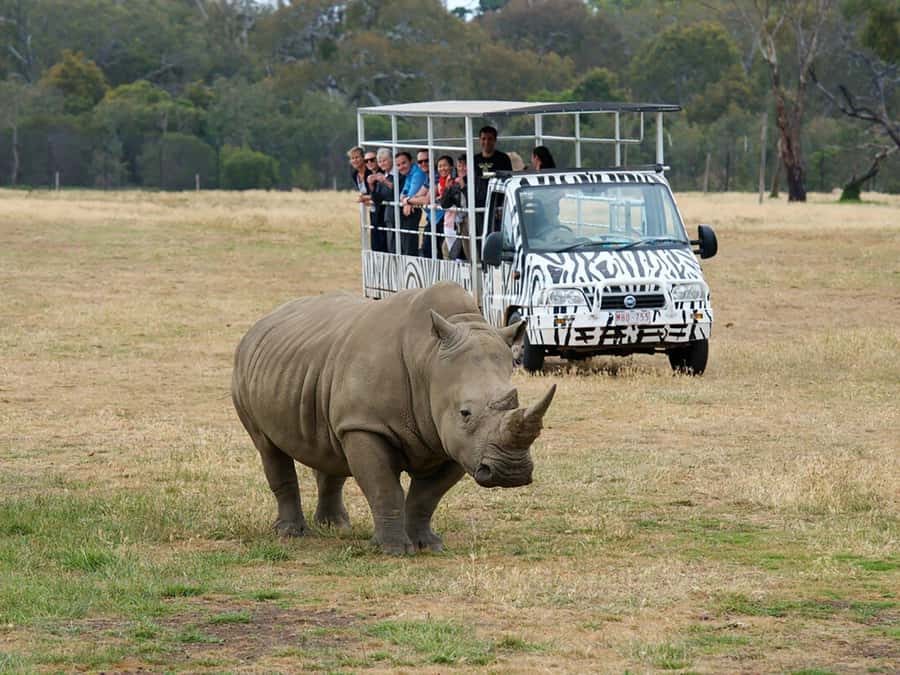 From Melbourne: Werribee Open Range Zoo & Werribee Mansion - Werribee Mansion + Open Range Zoo: why this pairing works
