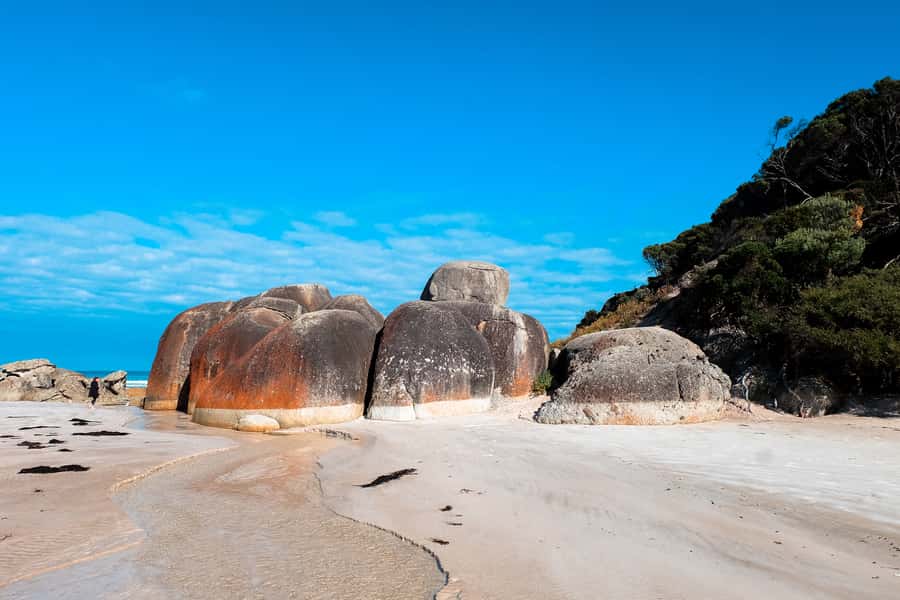 From Melbourne: Wilsons Promontory Small Group Day Tour - Squeaky Beach: the quartz sand trick you can actually hear