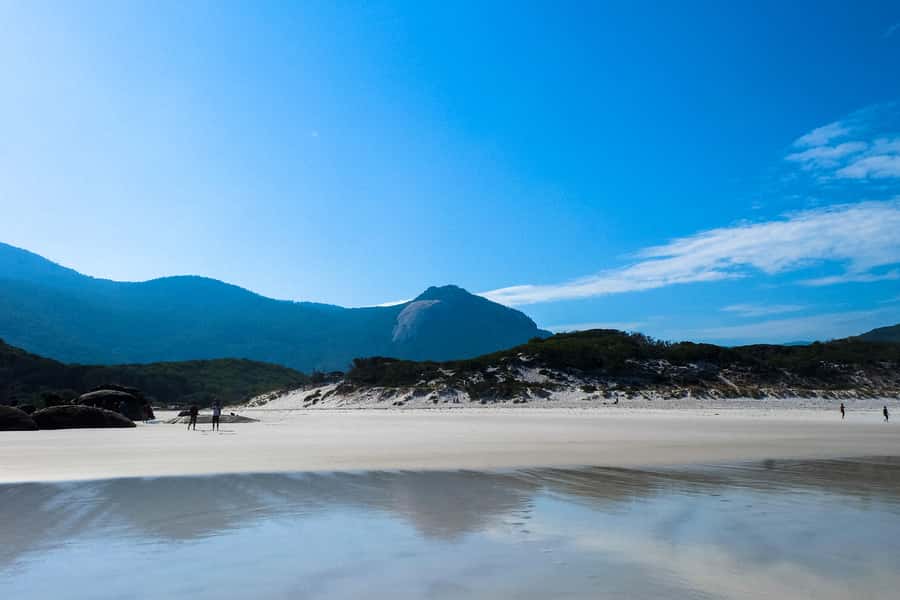 From Melbourne: Wilsons Promontory Small Group Day Tour - What’s included (and why the extras are worth it)