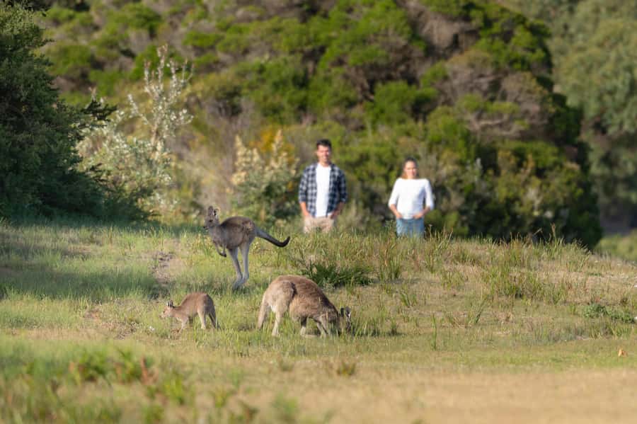 From Melbourne: Wilsons Promontory Wilderness Tour - Pick your route: the 3-hour self-guided hike at Mt Oberon, Mt Bishop, or Lilypilly