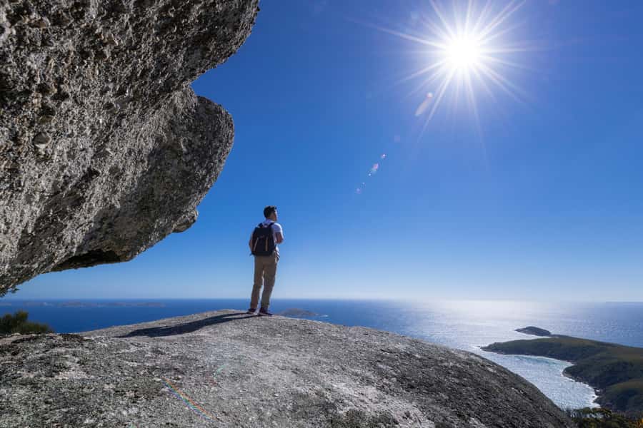 From Melbourne: Wilsons Promontory Wilderness Tour - Wildlife viewing at Wilsons Promontory: where you pause and look
