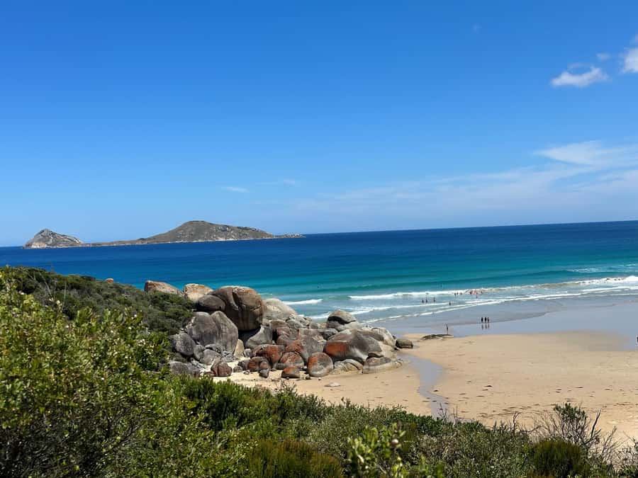 From Melbourne: Wilsons Promontory Wilderness Tour - Scenic lookouts and the Koonwarra reset that makes the day work