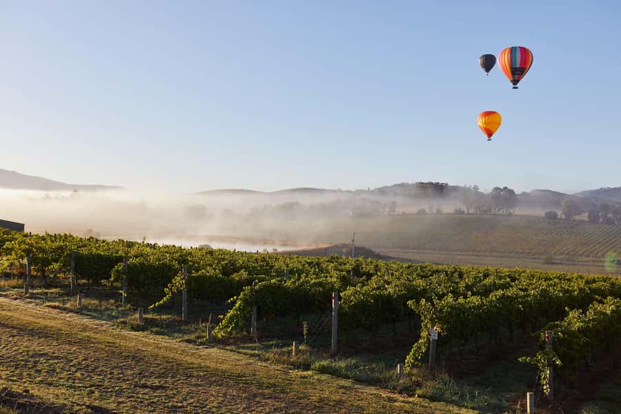 From Melbourne: Yarra Valley Hop-On-Hop-Off Bus Ticket - The one-hour loop: plan your day like a pro (not a guesser)