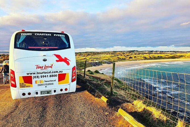 From Phillip Island: Wine and Wildlife Tour with Penguin Parade - Quick hits