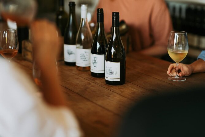 From Phillip Island: Wine and Wildlife Tour with Penguin Parade - The Nobbies Centre at golden hour: wildlife spotting without the scramble